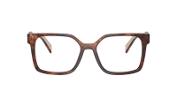 Prada PR B03V 07R-1O1 54-17 Havana Caramel