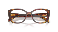 Prada PR B04V 22A-1O1 53-17 Poppy tortoise/Bordeaux