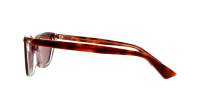 Gucci Emblem GG1815S 004 58-15 Schildpad