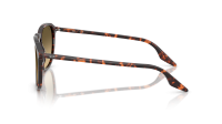 Ray-Ban RB2203 14290A Havana Red Turtle Sunglasses 52mm Ray-Ban Havana Red Turtle Brown Vintage Gradient Black  main image 4