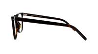 Saint Laurent Monogram SL M146 OPT 002 54-19 Havana
