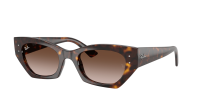 Ray-Ban Zena Bio-based RB4430 1359/13 49-22 Havana