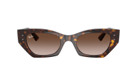 Ray-Ban Zena Bio-based RB4430 1359/13 49-22 Havana