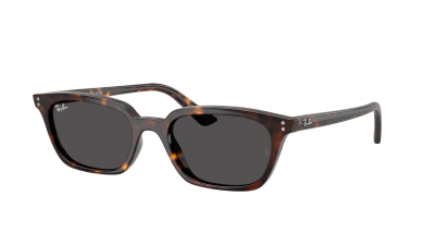 Sunglasses Ray-Ban Zaya Bio-based RB4456 1359/87 53-19 Havana 