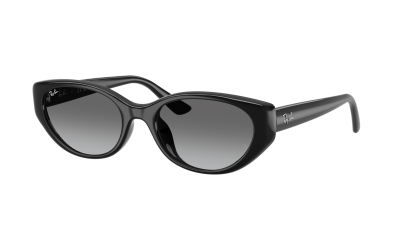 Sonnenbrille Ray-Ban Bio-based RB4457D 6677/11 55-19 Schwarz auf Lager