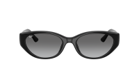 Ray-Ban Bio-based RB4457D 6677/11 55-19 Black