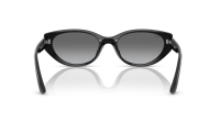 Ray-Ban Bio-based RB4457D 6677/11 55-19 Zwart