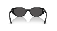 Ray-Ban Bio-Based RB4457D 6677/87 55-19 Nero