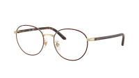 Ray-Ban RX6538D 3193 53-18 Havana on Pale Gold