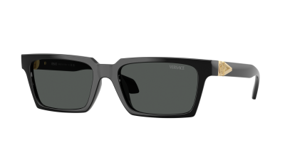 Sunglasses Versace VE4490U GB1/87 55-18 Black in stock