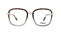 Chloé Franky CH0034O 020 53-18 Havana