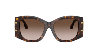 Dolce & Gabbana DG4501 502/13 54-17 Havana