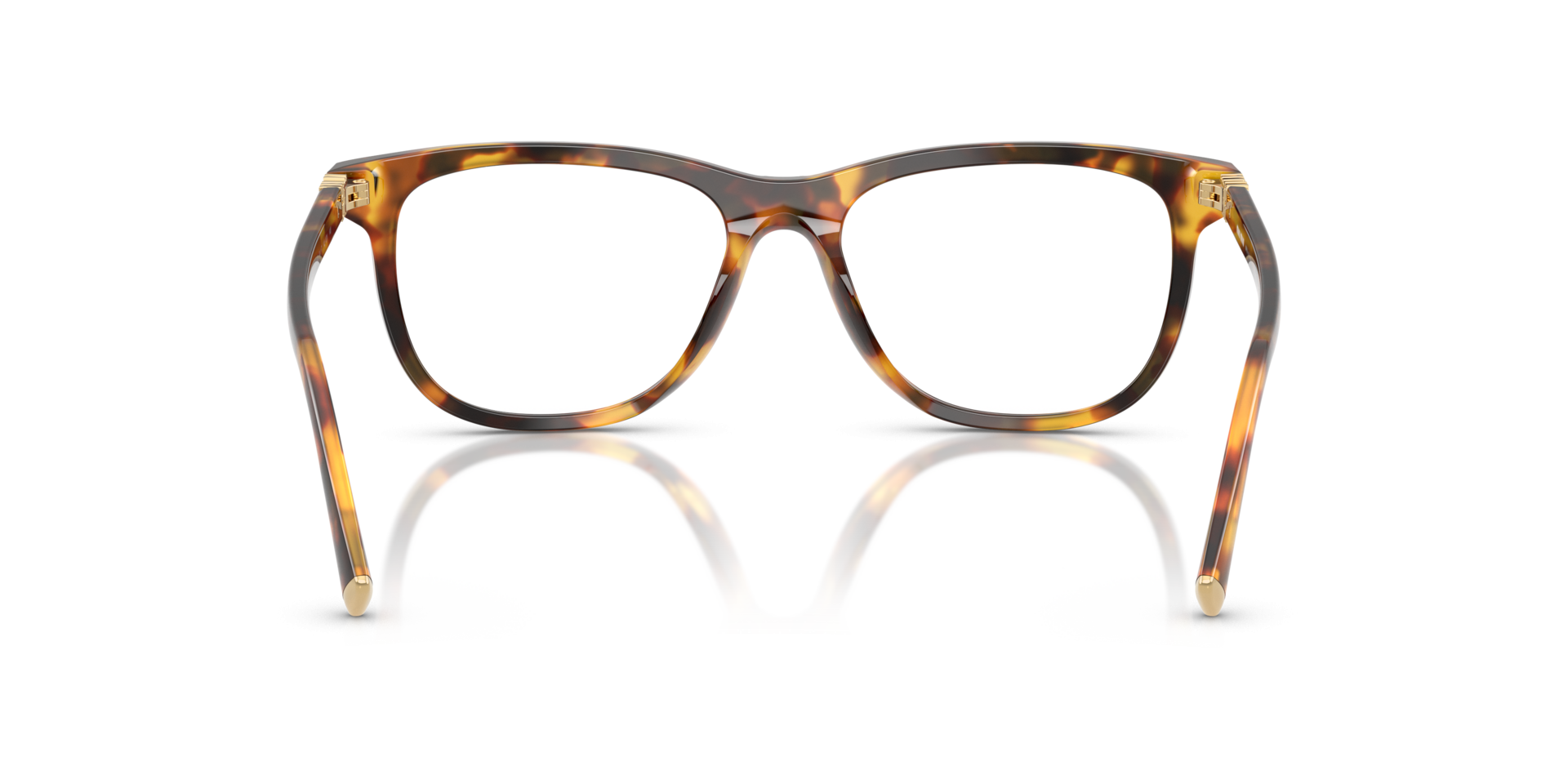 Eyeglasses Miu Miu MU 01WV 14L1O1 52-17 Havana Honey in stock ...