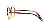 Chloé CH0308O 002 53-20 Tortoise