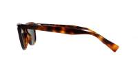 Saint Laurent Corner angle SL 797 003 53-18 Havana