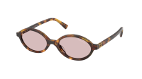 Miu Miu Regard MU 04ZS 14L4I0 50-18 Havana Honey
