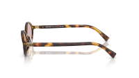 Miu Miu Regard MU 04ZS 14L4I0 50-18 Havana Honey