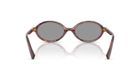 Miu Miu Regard MU 04ZS 21C40O 50-18 Havana Mahogany