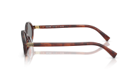 Miu Miu Regard MU 04ZS 21C40O 50-18 Havana Mahogany