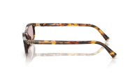 Miu Miu Regard MU A06S 14L4I0 54-17 Havana Honey