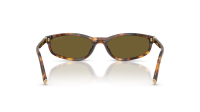 Miu Miu Regard MU A06S 14L09Z 54-17 Havana Honey