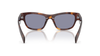 Prada PR B09S 15W-03N 52-19 Classic tortoise