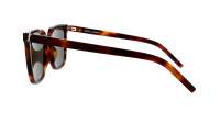 Saint Laurent Monogram SL M146 003 54-19 Havana Grey
