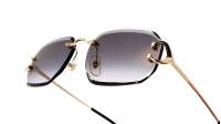 Cartier Core range CT0468S 001 58-18 Or