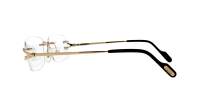 Cartier Core range CT0563O 001 56-18 Or