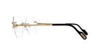 Cartier Core range CT0564O 001 55-18 Or