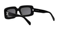 CELINE Triomphe CL40313U 01A 53-21 Noir