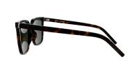 Saint Laurent Monogram SL M146 002 54-19 Havana Grey