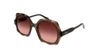 Chloé Olivia CH0226S 007 53-22 Brun