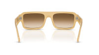 Ray-Ban Lukas RB4454 6806/51 56-20 Transparent Beige