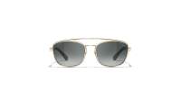 CHANEL CH4290Q C395/S8 56-18 Pale Gold