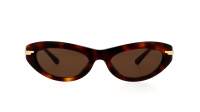 Bottega Veneta Ribbon BV1368S 002 53-19 Havane