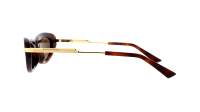 Bottega Veneta Ribbon BV1368S 002 53-19 Havane