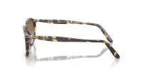 Persol PO3092SM 9005/51 50-19 Tortoise