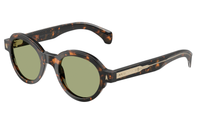 Occhiali da sole Moncler Rondosa ME6003 3006/82 47-22 Brown Green Havana