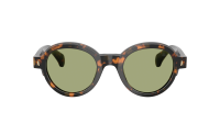 Moncler Rondosa ME6003 3006/82 47-22 Brown Green Havana