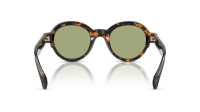 Moncler Rondosa ME6003 3006/82 47-22 Brown Green Havana