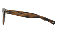 Garrett Leight Hampton x 1082 SPBRNSH 46-24 Spotted Brown Shell