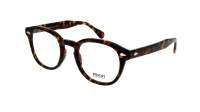 Moscot LEMTOSH 52 TORTOISE DEM.
