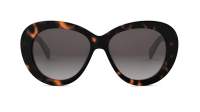 CELINE Triomphe CL40317U 52F 55-15 Tortuga