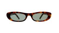 Saint Laurent Sl logo SL 557 SHADE 002 53-20 Havana