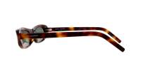 Saint Laurent Sl logo SL 557 SHADE 002 53-20 Havana