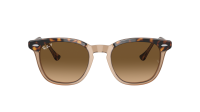 Ray-Ban Hawkeye RB2298 1292/M2 52-21 Havana on transparent Brown