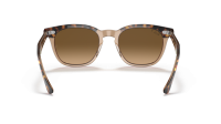 Ray-Ban Hawkeye RB2298 1292/M2 52-21 Havana on transparent Brown