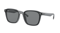 Ray-Ban RB4392D 6450/87 66-17 Transparent Gray
