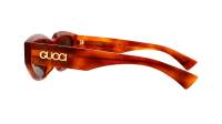 Gucci GG1845SA 002 55-18 Havana Brown